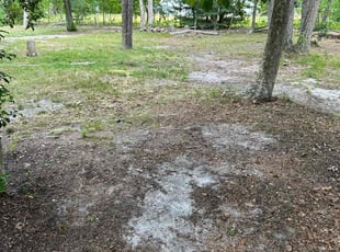 Leaf Removal by Kelvin Williams for Aaron L. in Waterford, NJ