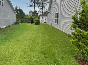 Missy N.'s Lawn Care service result