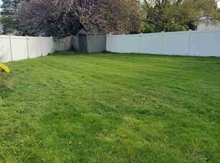 Patricia F.'s Lawn Mowing Service service result