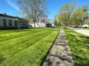sagar v.'s Lawn Care service result