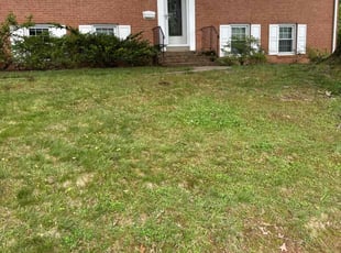 Leaf Removal by Khalim Yularnis for Martha M. in Annandale, VA