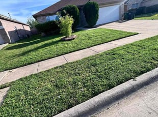 Paul N.'s Lawn Mowing service result