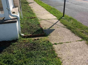 Kellie F.'s Lawn Mowing service result