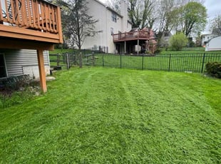 Alyssa D.'s Lawn Service service result