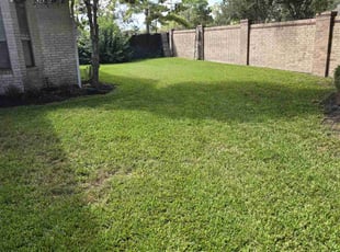 Juliet K.'s Lawn Care service result