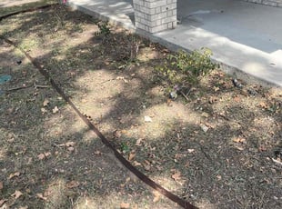 Weeding by Davon Warfield for Jacobie D. in Dallas, TX