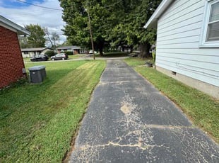 Michele G.'s Lawn Service service result