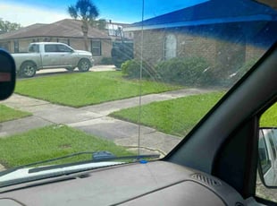 Montgomery M.'s Lawn Mowing service result