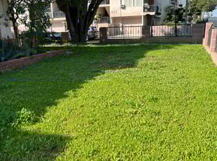 JAMES V.'s Lawn Mowing service result