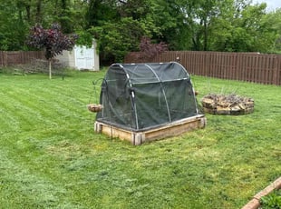 Madeline H.'s Lawn Mowing service result