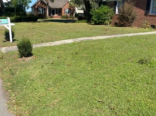 Izumi S.'s Lawn Mowing Service service result