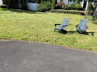 Lisa R.'s Lawn Mowing service result