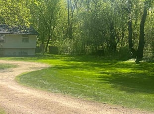 Syedzainul H.'s Lawn Service service result