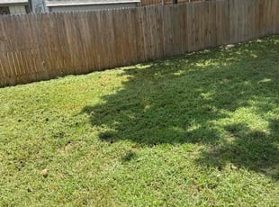 Shaylah I.'s Lawn Maintenance service result