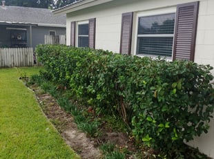 Bush Trimming by Nicholas Faust for Jaslin T. in Fern Park, FL