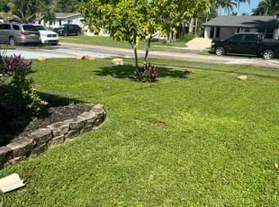 Thomas C.'s Grass Cutting service result