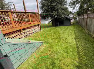 Javier C.'s Grass Cutting service result