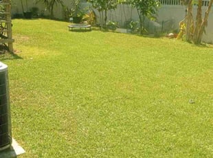 Erica W.'s Lawn Service service result
