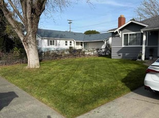 Tina T.'s Lawn Mowing service result