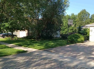 Rhonda P.'s Yard Cutting service result