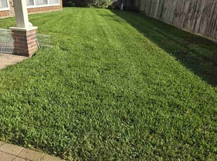 Weichun T.'s Lawn Service service result