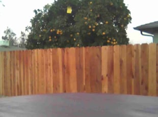 Bush Trimming by Ryan Gault for Bill M. in Fresno, CA
