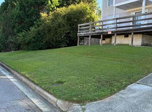 Melissa C.'s Lawn Mowing service result