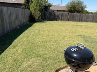 Patience M.'s Yard Cutting service result
