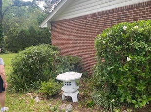 Bush Trimming by Brandon Medlin for Marianne D. in Raleigh, NC