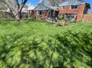 Susan D.'s Yard Cutting service result