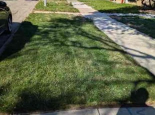 Jimmy J.'s Lawn Mowing service result