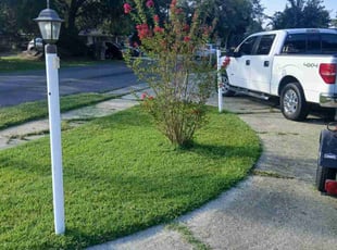 Susan R.'s Lawn Service service result