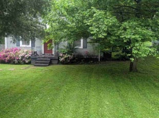 Mike G.'s Lawn Mowing service result