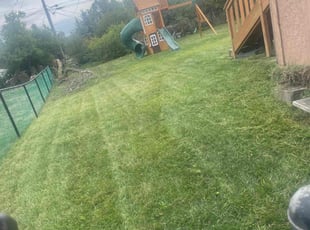 Rick M.'s Lawn Service service result