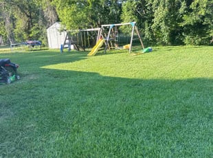 Tom M.'s Lawn Mowing Service service result
