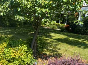 Rose N.'s Lawn Service service result