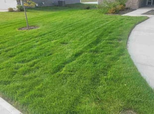Shubhankar D.'s Lawn Maintenance service result
