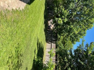 Jerry M.'s Yard Cutting service result