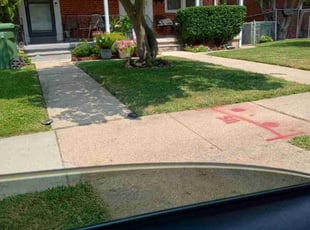 Paula F.'s Yard Cutting service result