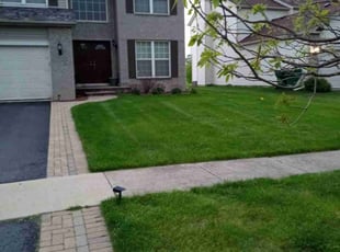 Christopher L.'s Yard Cutting service result
