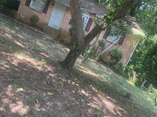 Bush Trimming by Dimitri Salmon for Ivory T. in Atlanta, GA