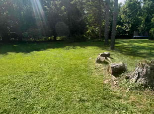 Jeanie D.'s Lawn Care service result