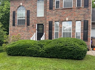 Bush Trimming by Austin Honnick for Megan M. in Nashville, TN