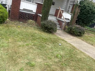 Cleanups by Mo Kiprop for Abigail V. in Canton, OH