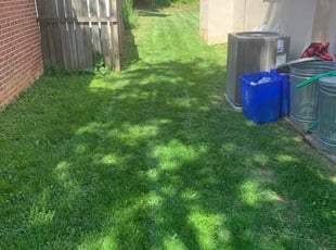 Kina M.'s Lawn Maintenance service result
