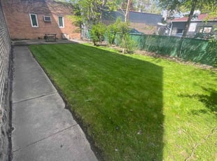 Pat B.'s Lawn Maintenance service result