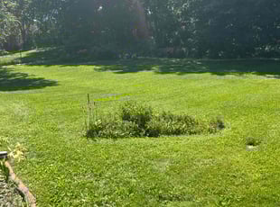 Peggy B.'s Lawn Service service result
