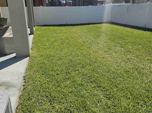Kenneshia M.'s Yard Cutting service result