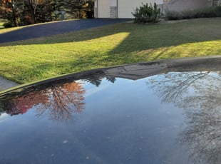 Leaf Removal by Eric Hahn for Pam W. in Ramsey, MN