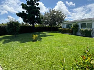 Nicole R.'s Yard Cutting service result